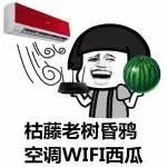 出門被曬化？七條防暑小貼士幫你安然度夏！-晟皋電氣