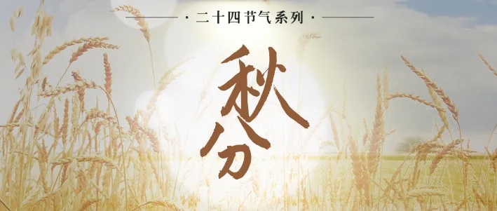 今日秋分|慶祝豐收，期盼團圓